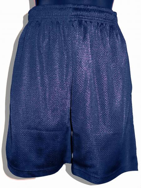Basket Ball Short Various Colours