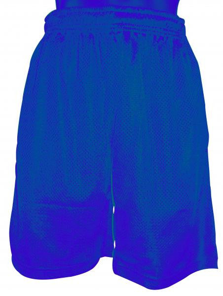 Basket Ball Short Various Colours