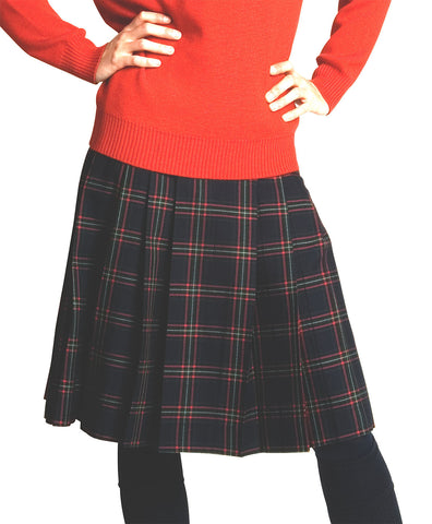 Winter Skirt
